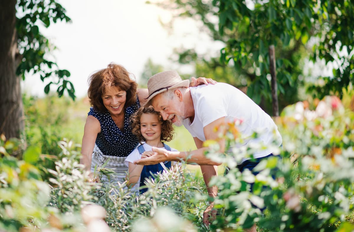 Is Life Insurance Taxable